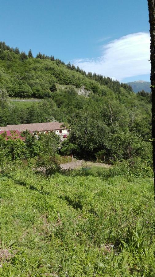 Agriturismo Rio Ricco Busana Exterior photo
